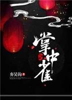 掌中之物电视剧全集